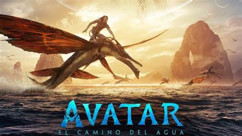 el sentido del agua online.